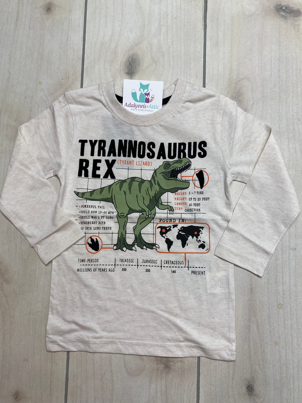 Boys Tyrannosaurus Rex Dino Raglan
