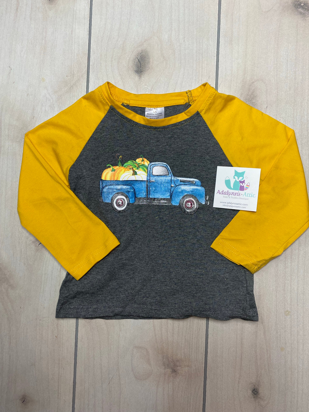 Boys Pumpkin Print Raglan